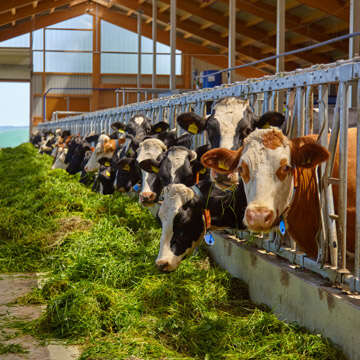 sortimentsbubble landwirtschaft 360x360